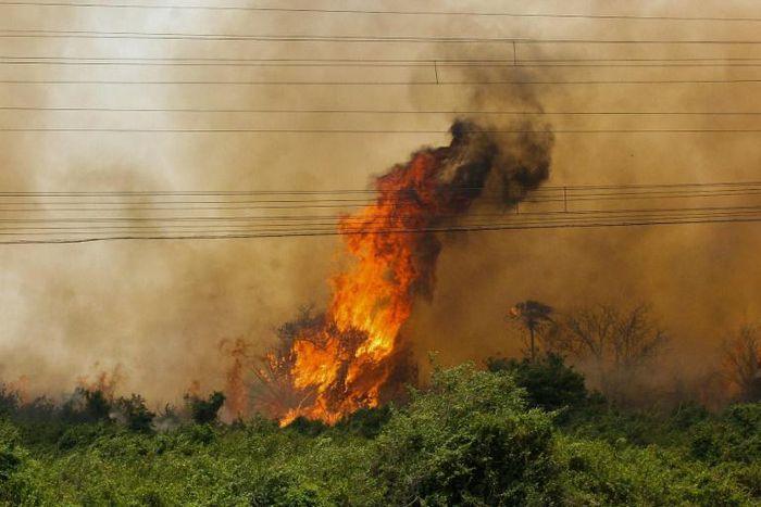 Handout picture released by Mato Grosso do Sul State Government showing a forest fire at the Pantanal ecoregion of Brazil on October 30, 2019