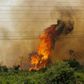 Handout picture released by Mato Grosso do Sul State Government showing a forest fire at the Pantanal ecoregion of Brazil on October 30, 2019
