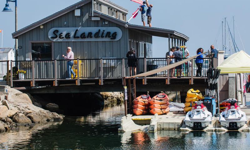 Bodies of 20 Victims Recovered in California Boat Fire