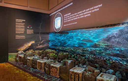 Can Art Help Save the Planet?