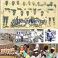 Hearts of Oak