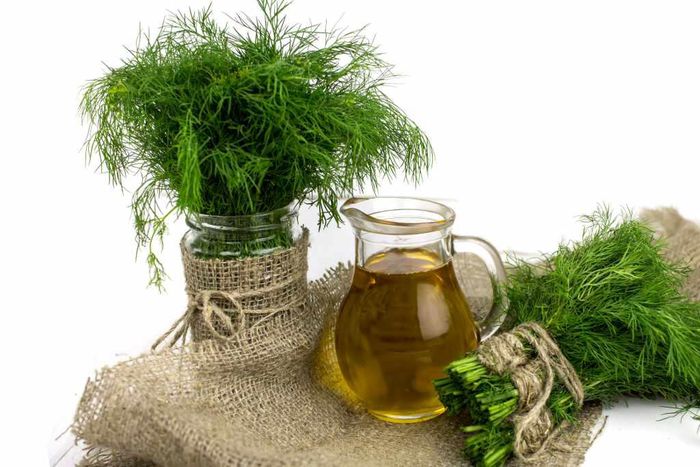 Dill health benefits