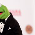 Kermit the Frog Has Been Working Out a Lot Lately