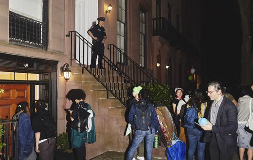Wealth Keeps Museums Alive, and Galvanizes Activists Too