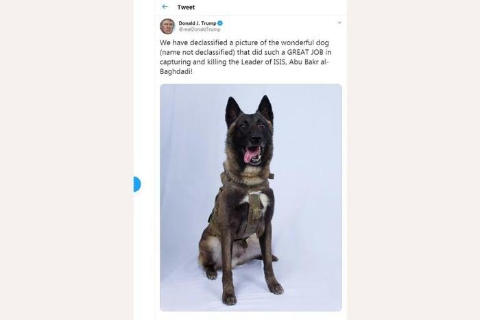 President Donald Trump said the picture of the military dog that helped capture jihadist leader Abu Bakr al-Baghdadi had been "declassified"