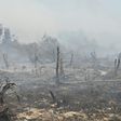This year's fires have been worsened by dry weather
