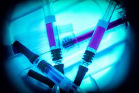 Syringes inside a Sharps Collector