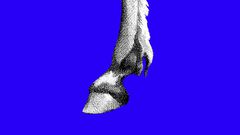 The Corey Lewandowski Trap