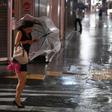 Typhoon Faxai battered Tokyo with ferocious winds and driving rain
