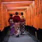 The serenity of Kyoto's ancient shrines draws less-than-peaceful daily crowds, but Pico Ayer says tourists can still walk their own path