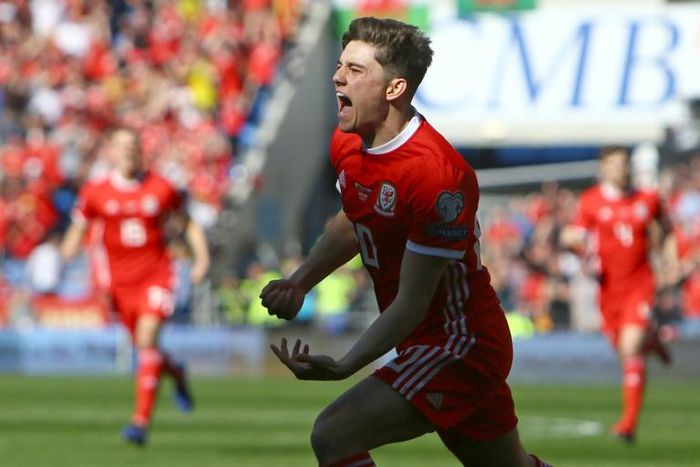 Early goal - Wales' Daniel James celebrates after scoring in just the fifth minute against Slovakia