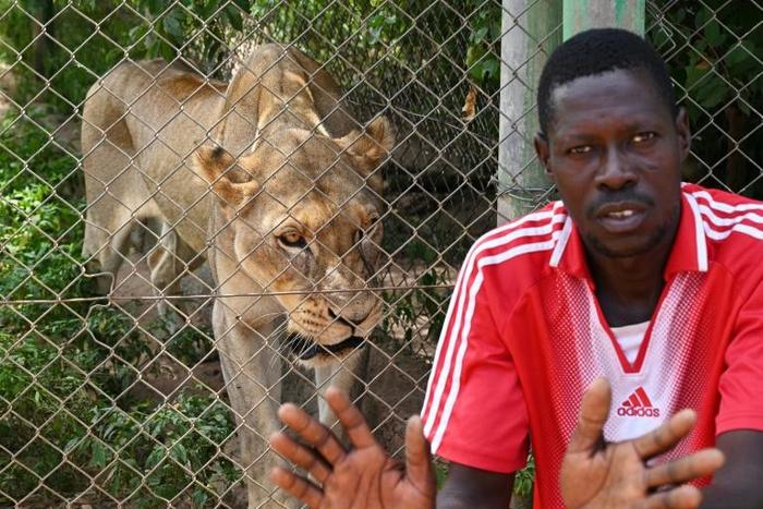 Dire living conditions in Burkina Faso have led to nostalgia for the days of strongman Blaise Compaore, ousted five years ago. The deprivation extends even to the former president's zoo