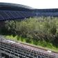 The temporary art intervention "For Forest - The Unending Attraction of Nature" by Klaus Littmann has turned the Woerthsee football stadium in Klagenfurt, Austria into a forest, consisting of about 300 trees