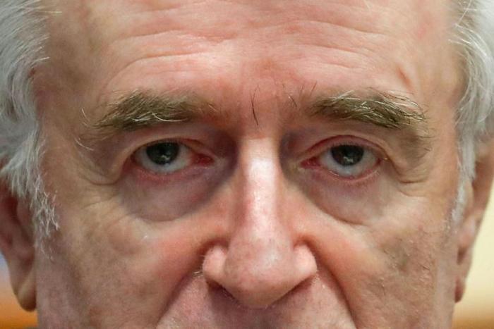 Former Bosnian Serb leader Radovan Karadzic was sentenced in 2016 to 40 years in jail for his role in the bloodshed in Bosnia