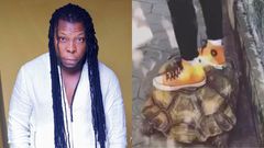 Edem