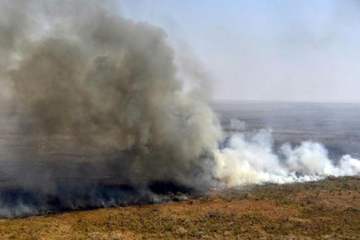 Fires have destroyed 1.2 million hectares of forest and grasslands in Bolivia this year, the government said on Wednesday, although environmentalists claim the true figure is much greater