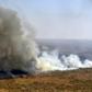 Fires have destroyed 1.2 million hectares of forest and grasslands in Bolivia this year, the government said on Wednesday, although environmentalists claim the true figure is much greater