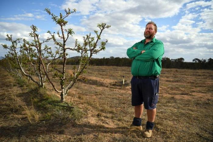 Angus Ferrier stands by his few remaining citrus trees at his drought-hit orchard Stanthorpe, regional Queensland