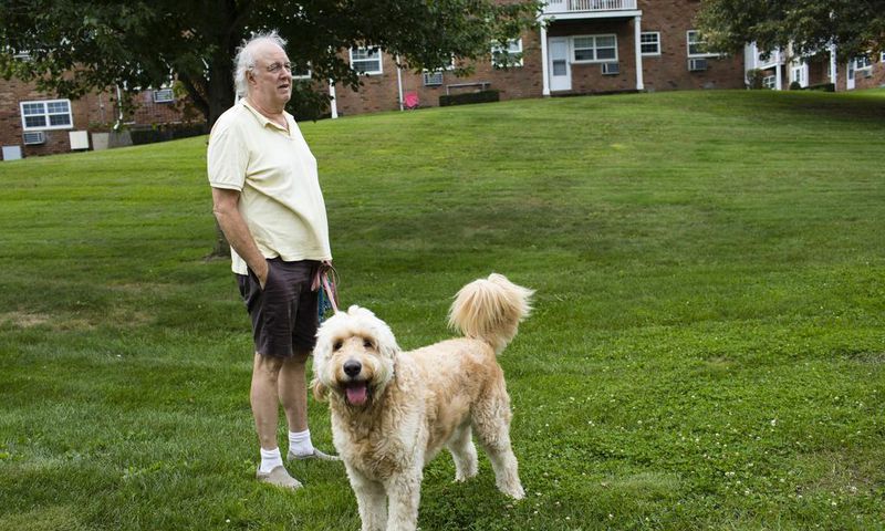 A Pit Bull Was Strangled by a Neighbor. Then Came #JusticeforRex.