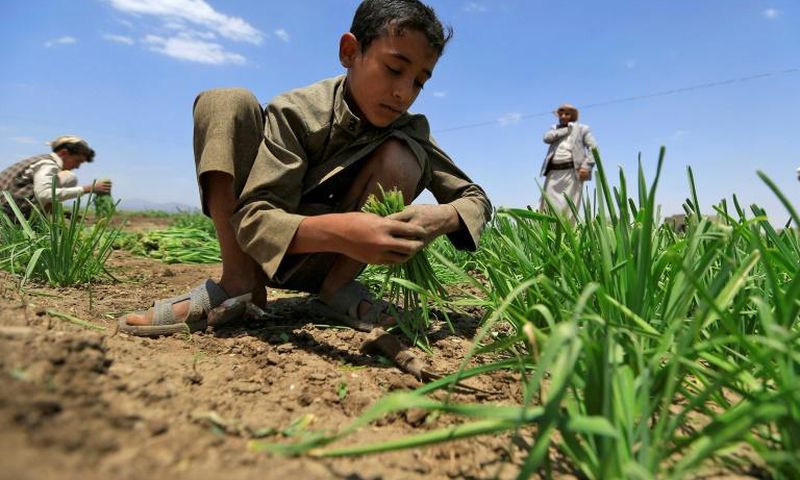 Around two-thirds of those facing severe food shortages live in war-torn countries like Yemen