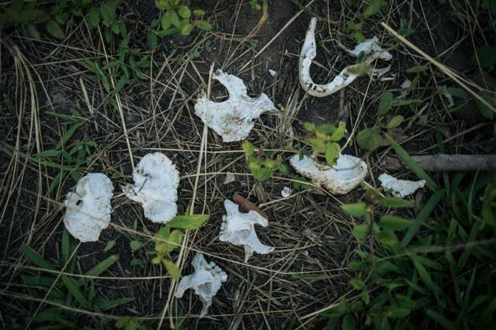 Remains of a child's skull found after January massacre