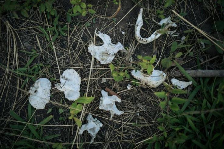 Remains of a child's skull found after January massacre