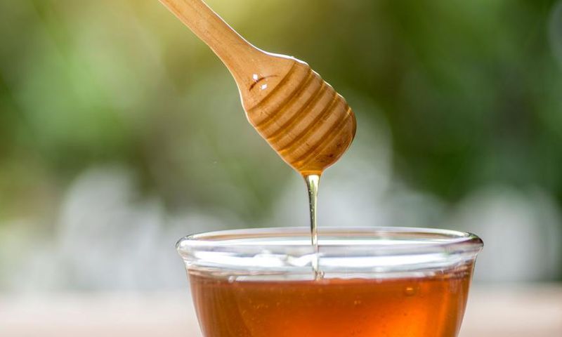 Can You Take Local Honey For Allergies?