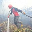 Vast blazes are ripping across the Indonesia's rainforests