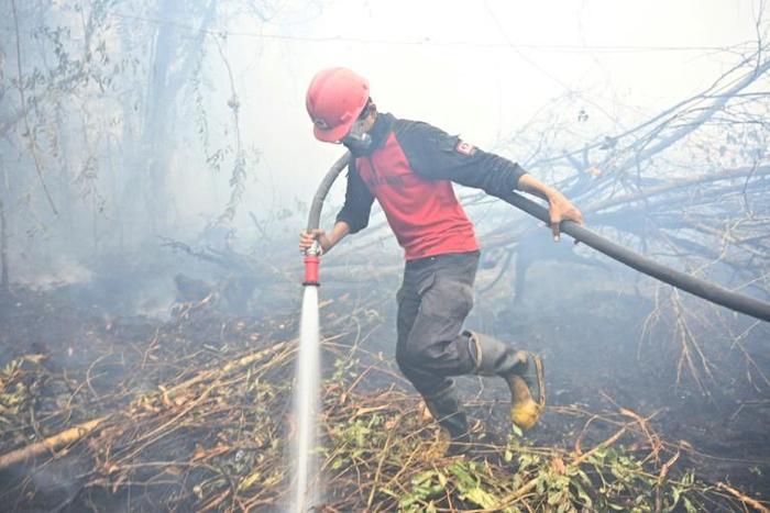 Vast blazes are ripping across the Indonesia's rainforests