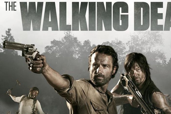The Walking Dead series