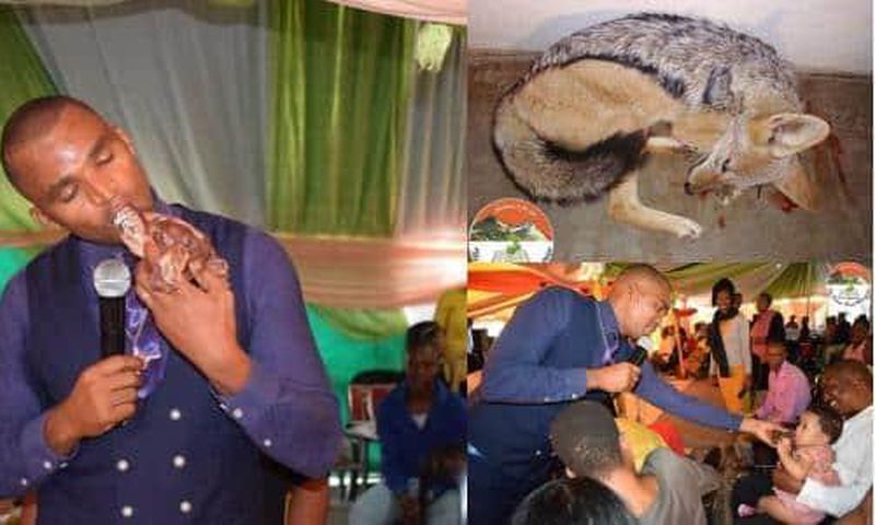 Pastor kills dog and eats the raw meat during church service