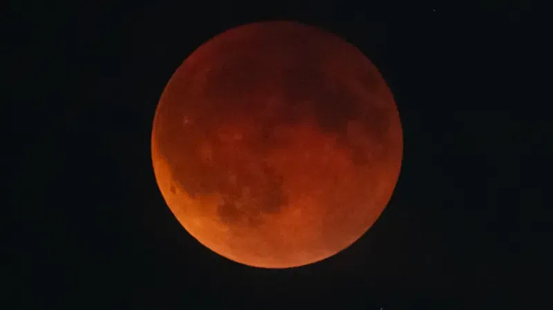 The blood moon rises over Vienna during a total lunar eclipse on September 07, 2025 in Vienna, AustriaImage source,Getty Images