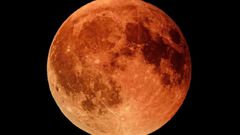 A photographer in Hadley, Shropshire captured a vibrant red hue. Source: BBC