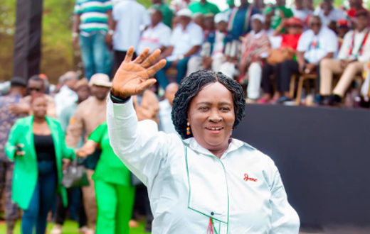 Vice president elect