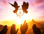 8 ways to console yourself after your party loses an election