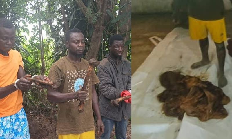 V/R: Police exhume human remains from shrine, arrest 6 in suspected ritual murder case