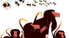 Sneezing Dogs, Dancing Bees: How Animals Vote