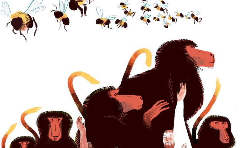 Sneezing Dogs, Dancing Bees: How Animals Vote
