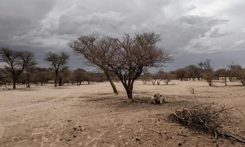 Namibia's government is impatient with the slow pace of land redistribution