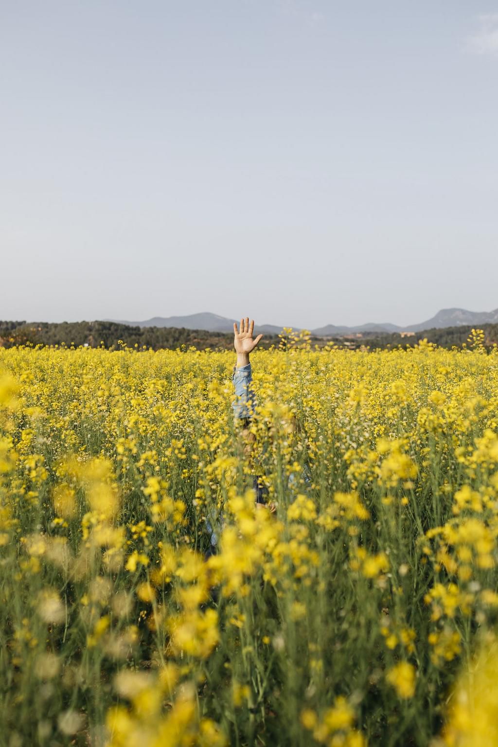 6 Easy Ways to Prevent Seasonal Allergies