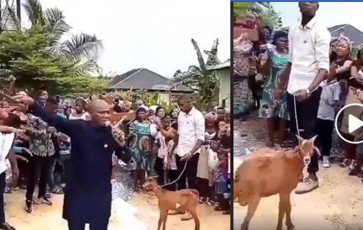 Pastor and church members pray to God through a goat (video)