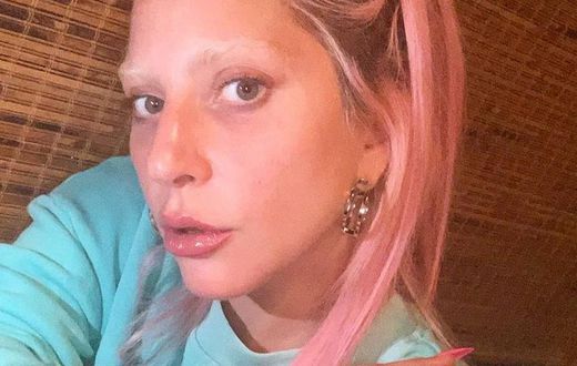 Lady Gaga Looks Unrecognizable In No-Makeup Selfie