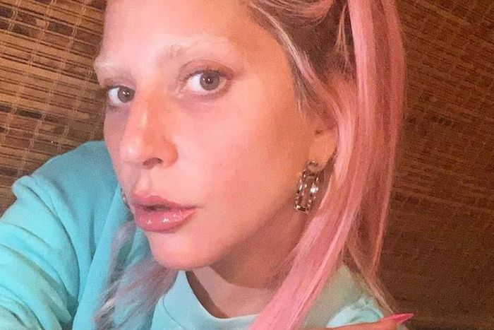 Lady Gaga Looks Unrecognizable In No-Makeup Selfie