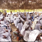 Apostle Revelation Society defies ban to hold church service