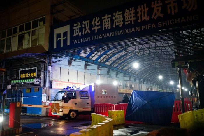 The new coronavirus is thought to have spread from Huanan Seafood Wholesale Market in Wuhan, which was shut on January 1
