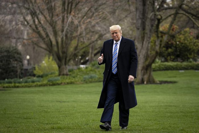 Who Are the Voters Behind Trump's Higher Approval Rating?