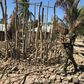 Northern Mozambique has suffered a string of deadly attacks by a shadowy jihadist group since October 2017. Pictured: the aftermath of a raid on the village of Naunde in June 2018 in which seven people were hacked to death and 164 homes torched