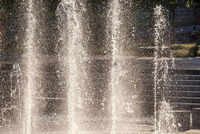 Watch Dr. P Tackle 10 Blackheads At Once