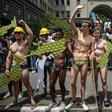 Overboard underwear: Springbok supporters wear South African flag speedos to mimic 
Springbok scrumhalf Faf de Klerk's attire