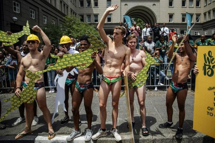 Overboard underwear: Springbok supporters wear South African flag speedos to mimic 
Springbok scrumhalf Faf de Klerk's attire